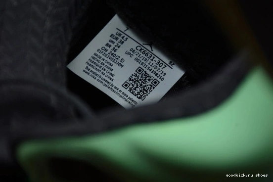 5 RETRO JORDAN CK6631-307 OREGON SE CK6631-307 AIR 0403